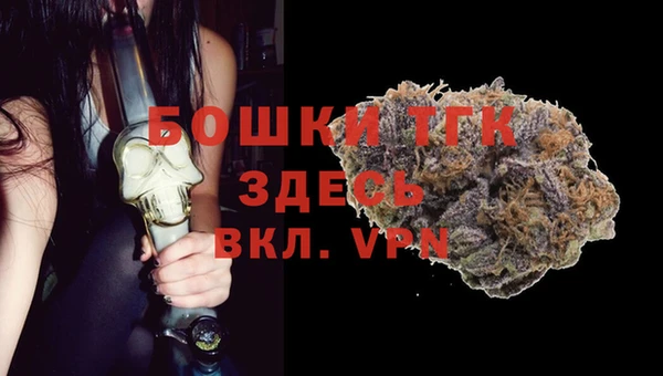 крисы Горняк