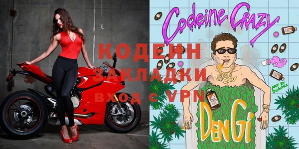 крисы Горняк