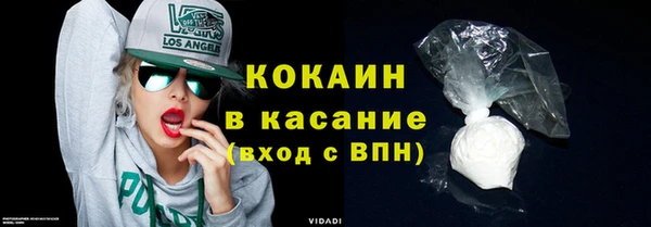 крисы Горняк