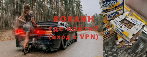 крисы Горняк