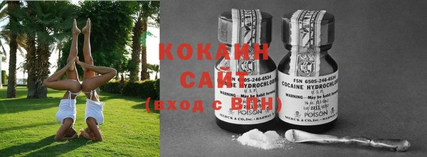 крисы Горняк