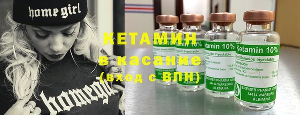 крисы Горняк