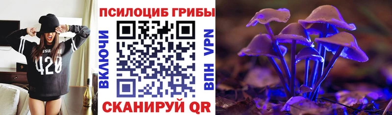 Галлюциногенные грибы мицелий  маркетплейс Telegram  Дивногорск  мега онион 